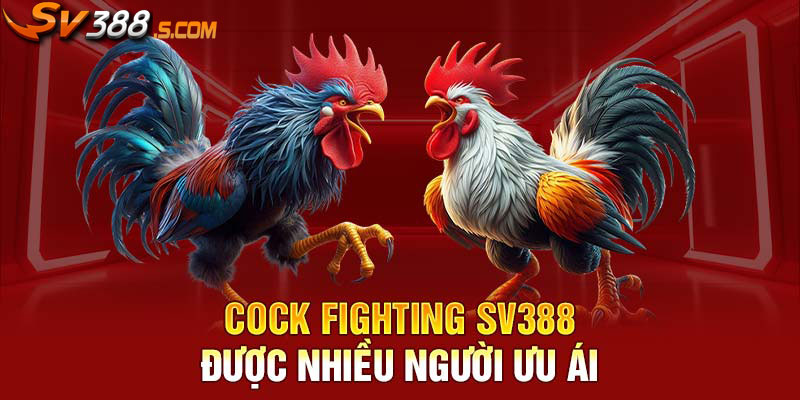 Cock Fighting SV388 được nhiều người ưu ái