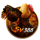 gcs sports sv368